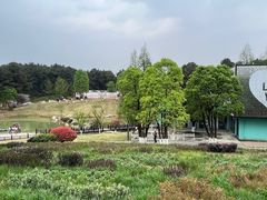 -铁山坪森林公园