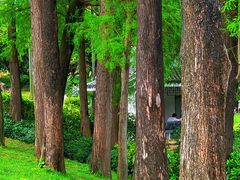 -四海公园(南山区)