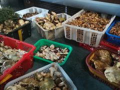 -七采菌园·石锅鱼野生菌火锅(环城北路店)