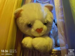 -疯狂冒险家-亲子密室-东坝店(金隅嘉品店)