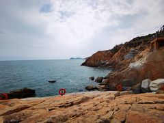 -广东惠东海龟国家级自然保护区