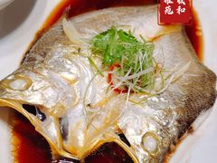 -羲和雅苑•北京烤鸭(国贸商城店)