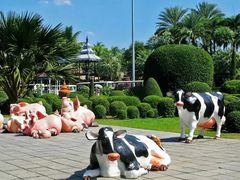 -东芭乐园