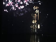 -合肥大剧院
