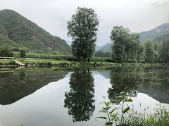 -百里山水画廊