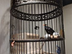 -清真·京华源铜锅涮肉(丰庆店)