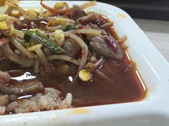 -西南大学北碚校区-竹园学生食堂