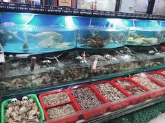 水产区-望海潮海鲜店 特色家常菜(在海一方店)