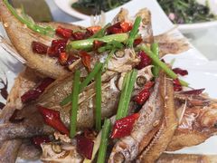 -雅和生态渔庄·宜城锅巴饭(龙灵山公园店)