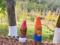 -神光山国家森林公园