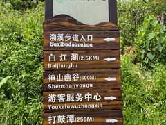 -广州白江湖森林公园