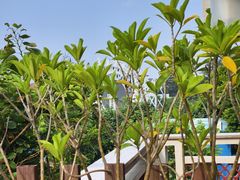 -汕头中海黄金海岸水上乐园