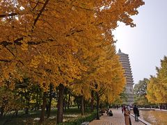 -玲珑塔公园