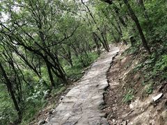 -北京鹫峰国家森林公园