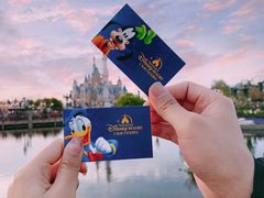 -上海迪士尼度假区