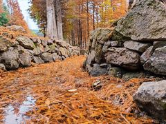 -南京市无想山景区