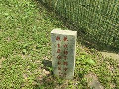 -中国扬子鳄村
