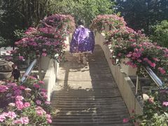 -东北大学(南湖校区)