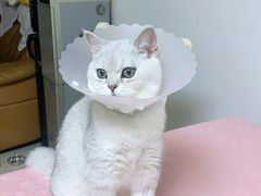 -达爱动物医院·犬猫分区·CT·复杂眼科(远洋山水分院)