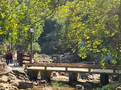 -广州白江湖森林公园