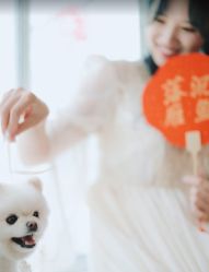 -曼格纳婚礼艺术中心(张江店)