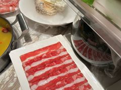 -汤城·料青山