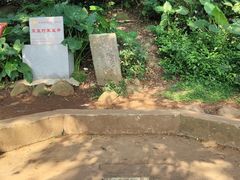 -硇洲岛旅游区