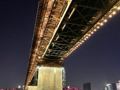 -武汉两江游览·夜游长江(汉口粤汉码头)