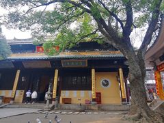 -无锡梅园公园