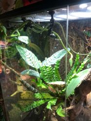 -酷嗒动物文化乐园(cutezoo西溪乐天城店)