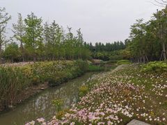 -柳鹭田园区
