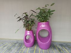 -南京禄口机场雅高铂尔曼大酒店