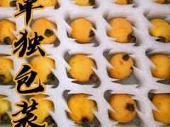 -塘栖枇杷特色园区