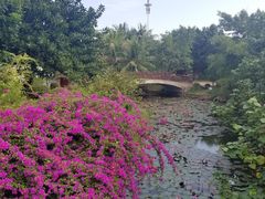 -白沙门生态公园
