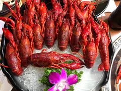 -红盔甲·小龙虾(天钥桥店)