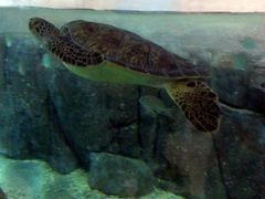 海洋世界-福州罗源湾海洋世界旅游区