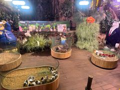 -正佳雨林生态植物园