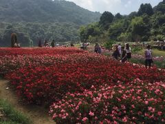 -广州市石门国家森林公园