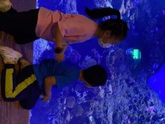 -华夏文旅西安度假区