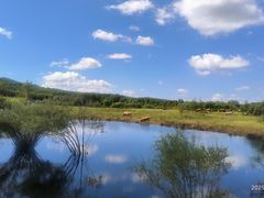 -塞罕坝国家级自然保护区