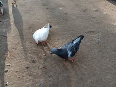 -森林公园(尖草坪区)