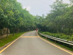 -小南山公园