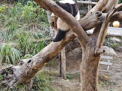 -宁波野生动物园
