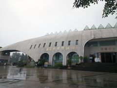 -自贡恐龙博物馆