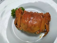 -巧庆楼·茶膳