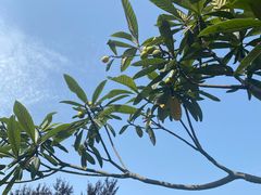 -艾溪湖湿地公园