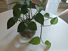 -洛阳宴·洛阳菜(南昌路店)