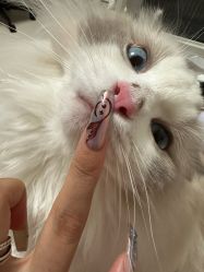 -Hands Nail专业美甲美睫