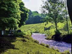 -两河城市森林公园