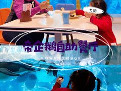 -帝企鹅自助餐厅•儿童岛•真企鹅(长隆企鹅酒店)